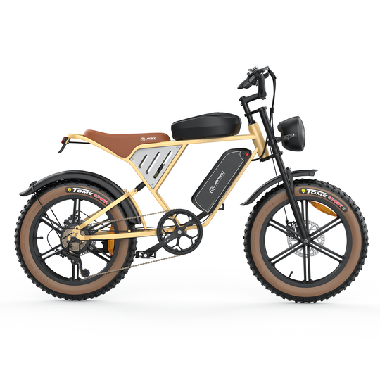 Customize your Jansno X70-beige rear hub motor