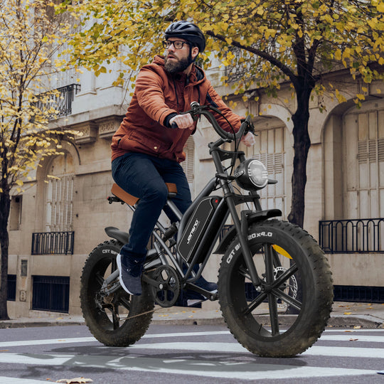 JANSNO X50 Bicycle 250W Motor Fat Tire Electric Bike for Adults