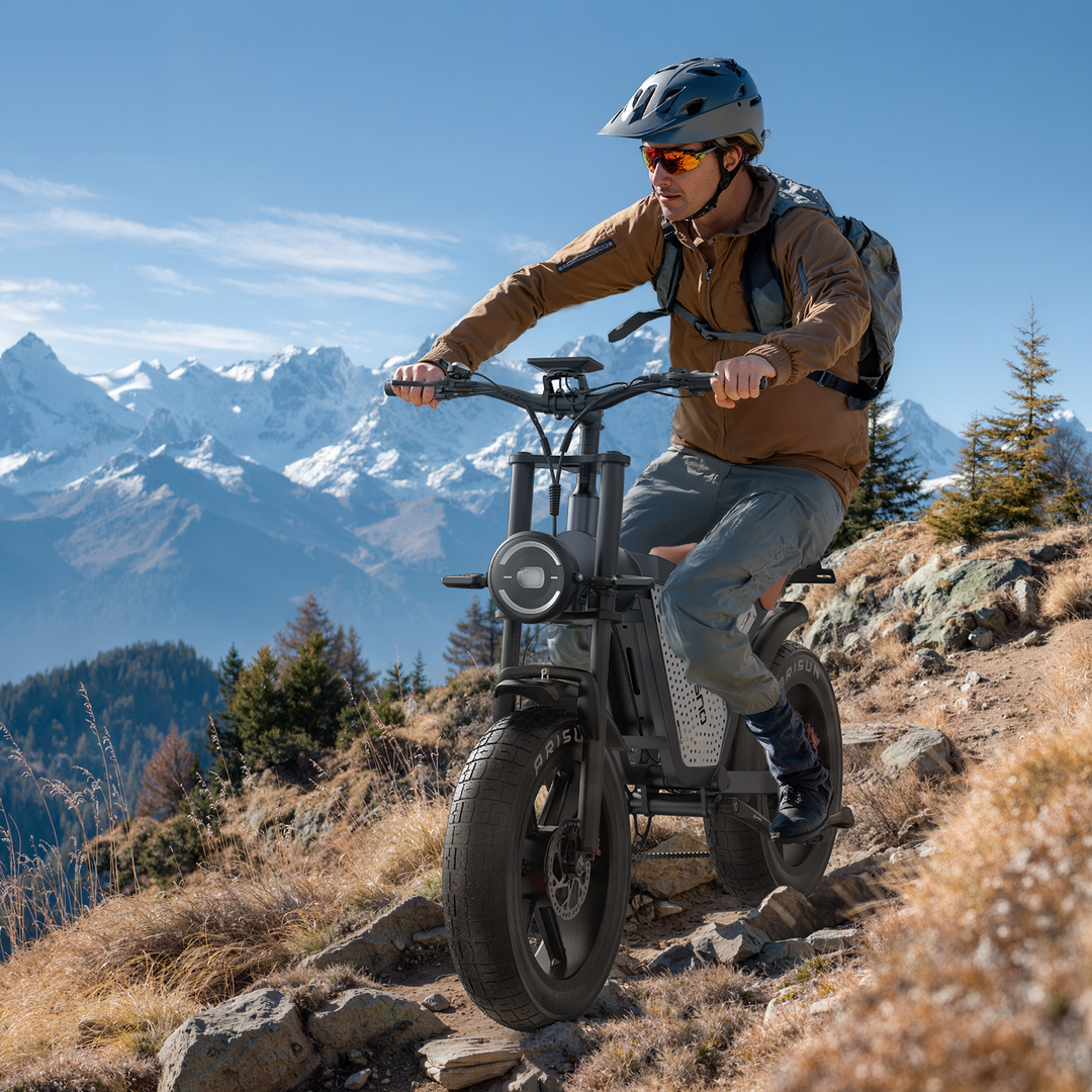 JANSNO X60 Electric Bike Dual Motor All-Wheel Drive