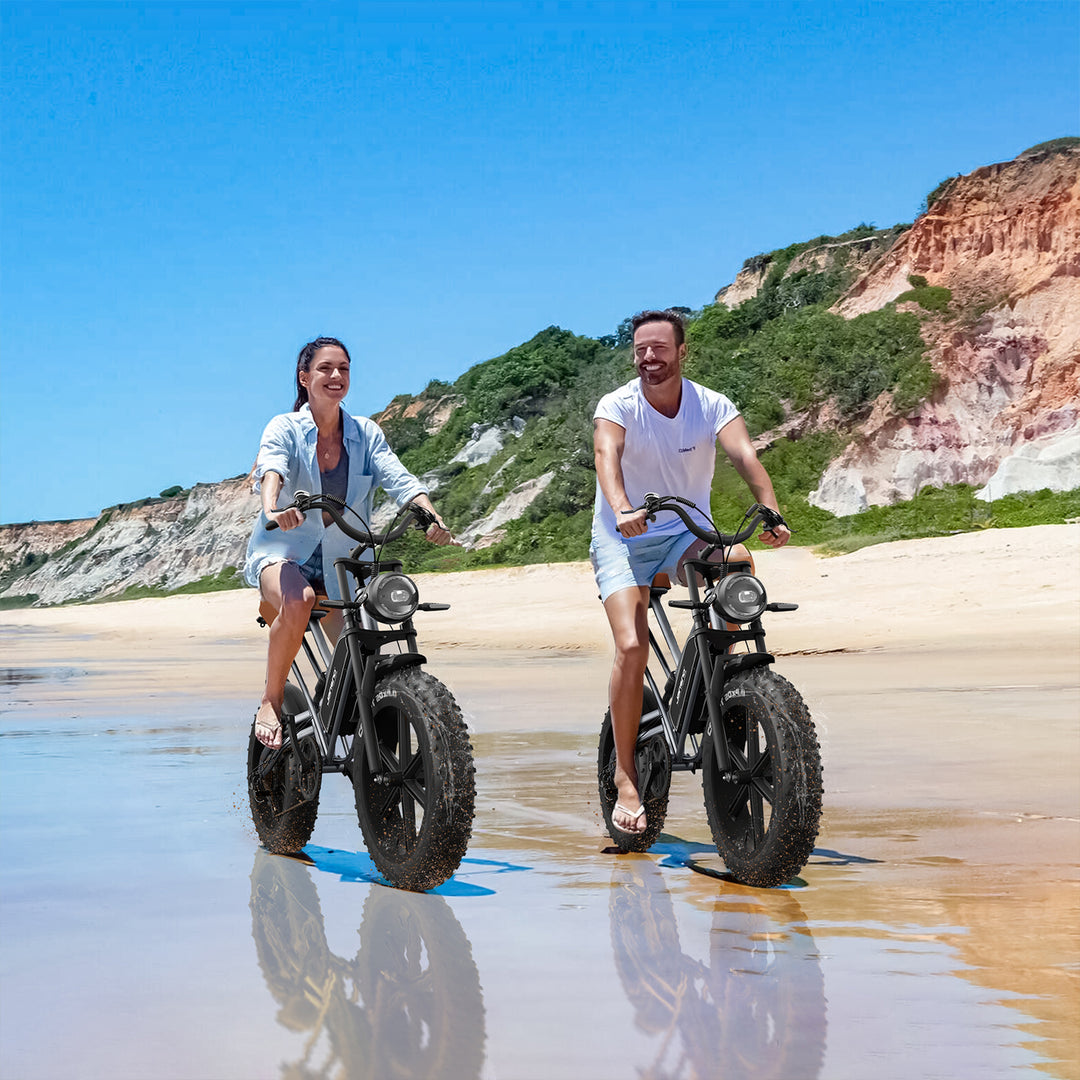 JANSNO X50 Fat Tire Electric Bike for Adults,750W Motor, 48V 14Ah Removable Battery
