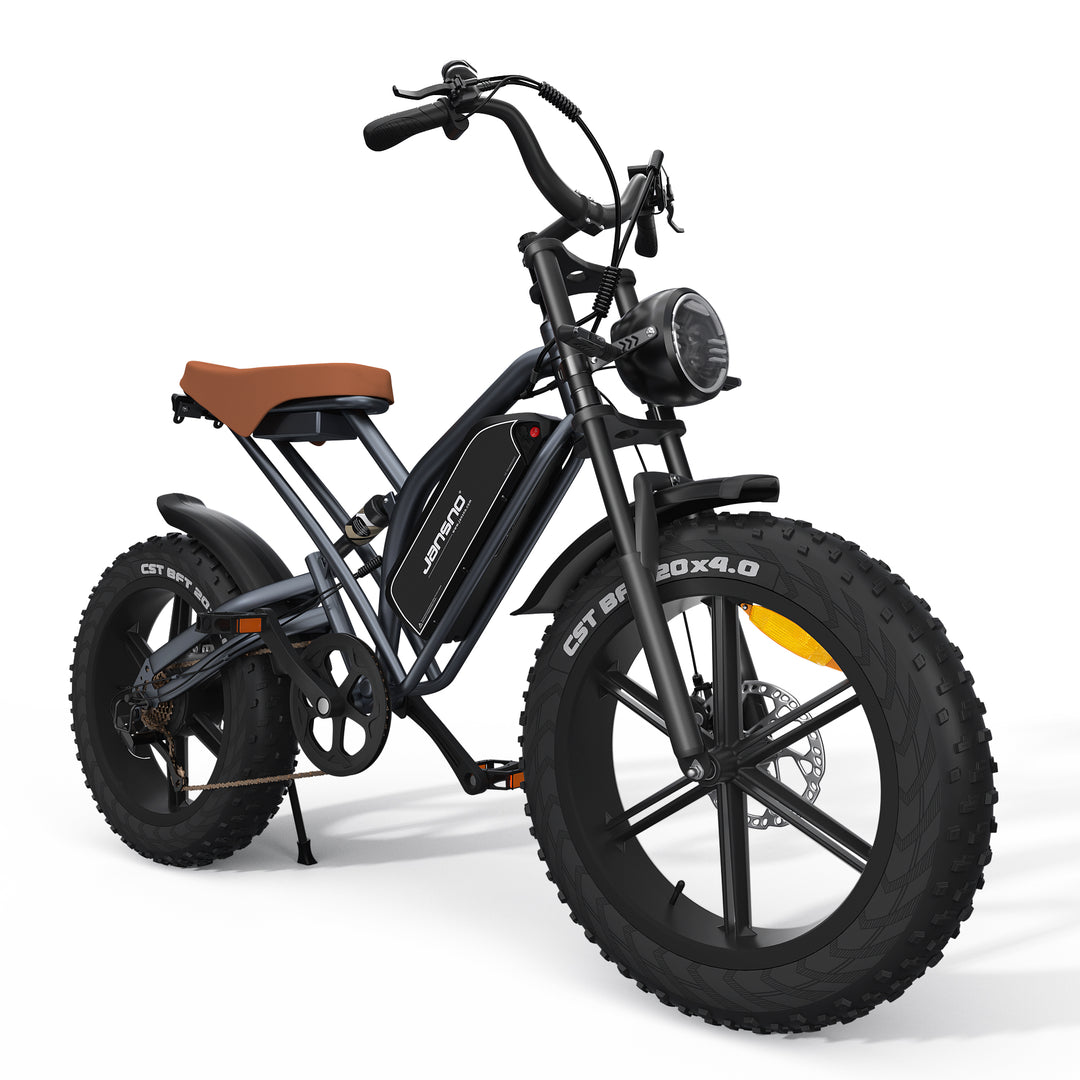 JANSNO X50 Bicycle 250W Motor Fat Tire Electric Bike for Adults