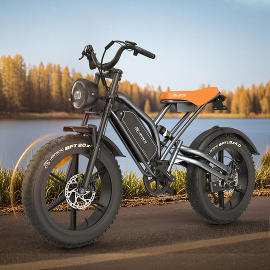 JANSNO X50 Fat Tire Electric Bike for Adults, 25km/h